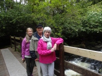 hike through the Clare Glens