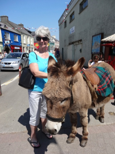 Donkey in Dingle
