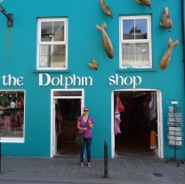 Dolphin in Dingle